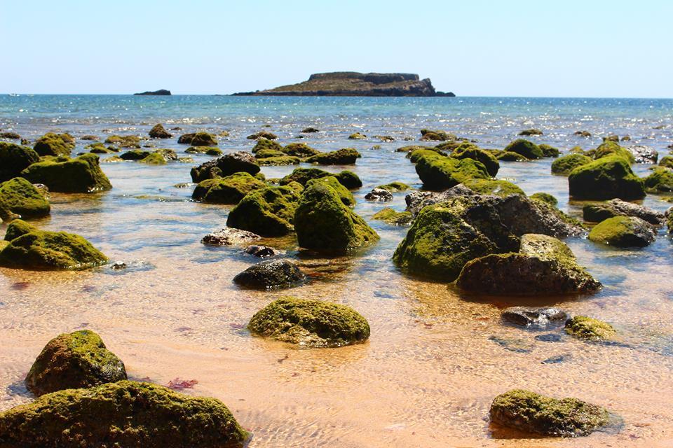 Sagres Sunny Room With Private Bathroom 300M From The Beach المظهر الخارجي الصورة